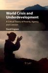 World Crisis and Underdevelopment: A Critical Theory of Poverty, Agency, and Coercion